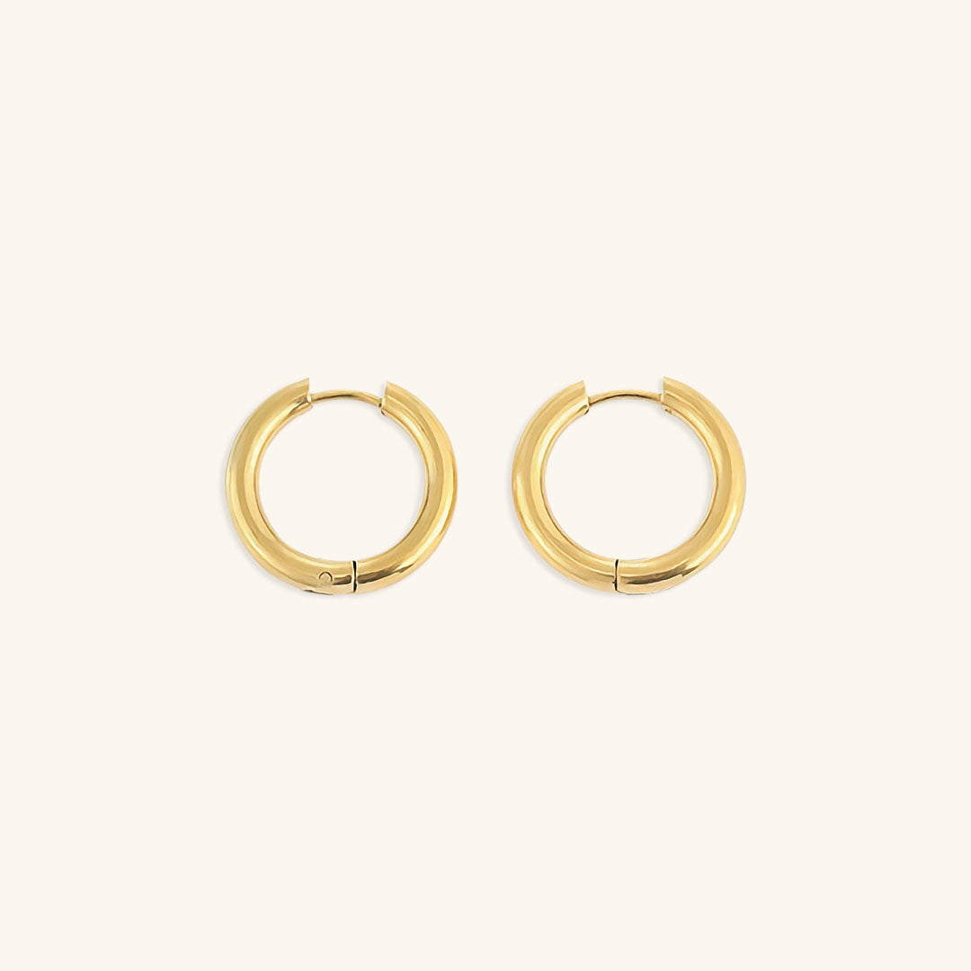 Small Gold Hoop Earrings in Stainless Steel-Plated 14k Gold – Hypoallergenic and Water Resistant