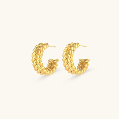 Ashley Braid Earrings