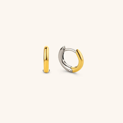 Abigail Two Tone Hoop Earring