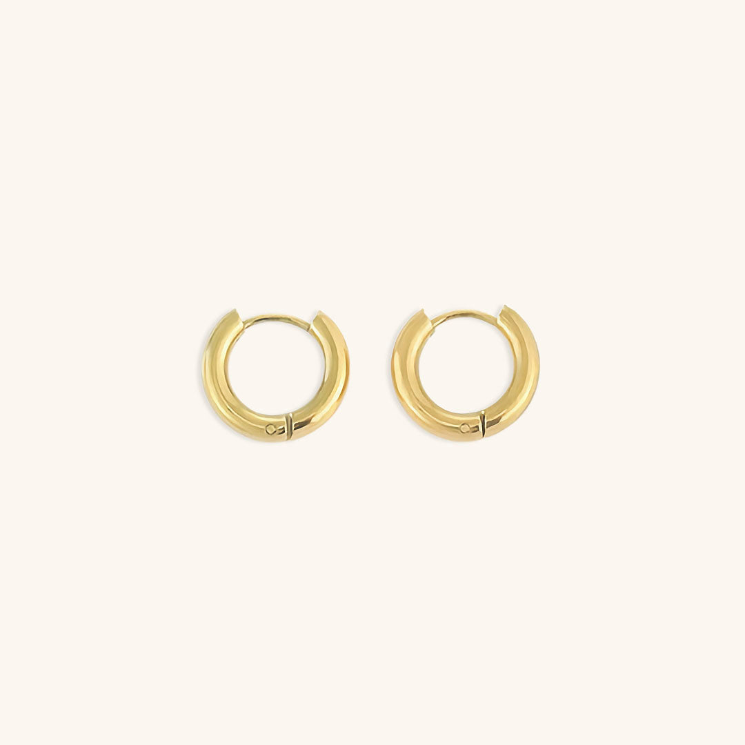 Small Gold Hoop Earrings in Stainless Steel-Plated 14k Gold – Hypoallergenic and Water Resistant